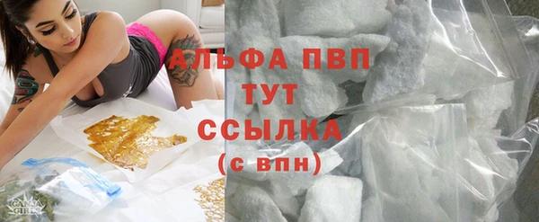 PSILOCYBIN Надым