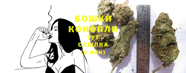 PSILOCYBIN Надым