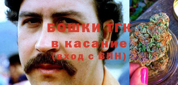 PSILOCYBIN Надым