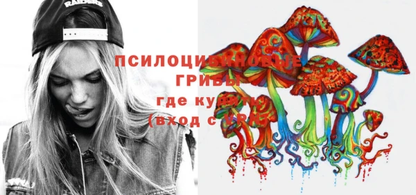 крисы Нея
