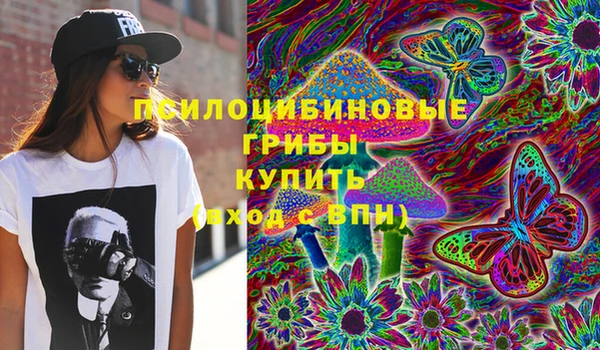 PSILOCYBIN Надым