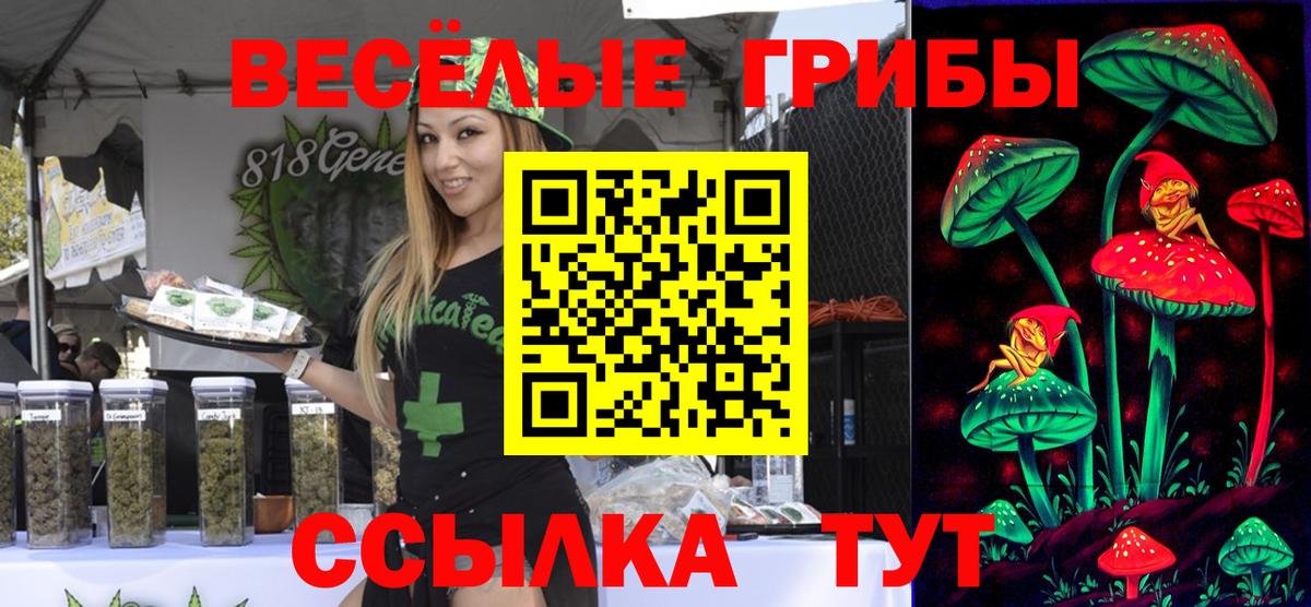 Псилоцибиновые грибы Psilocybine cubensis  Вход с VPN  Крымск 